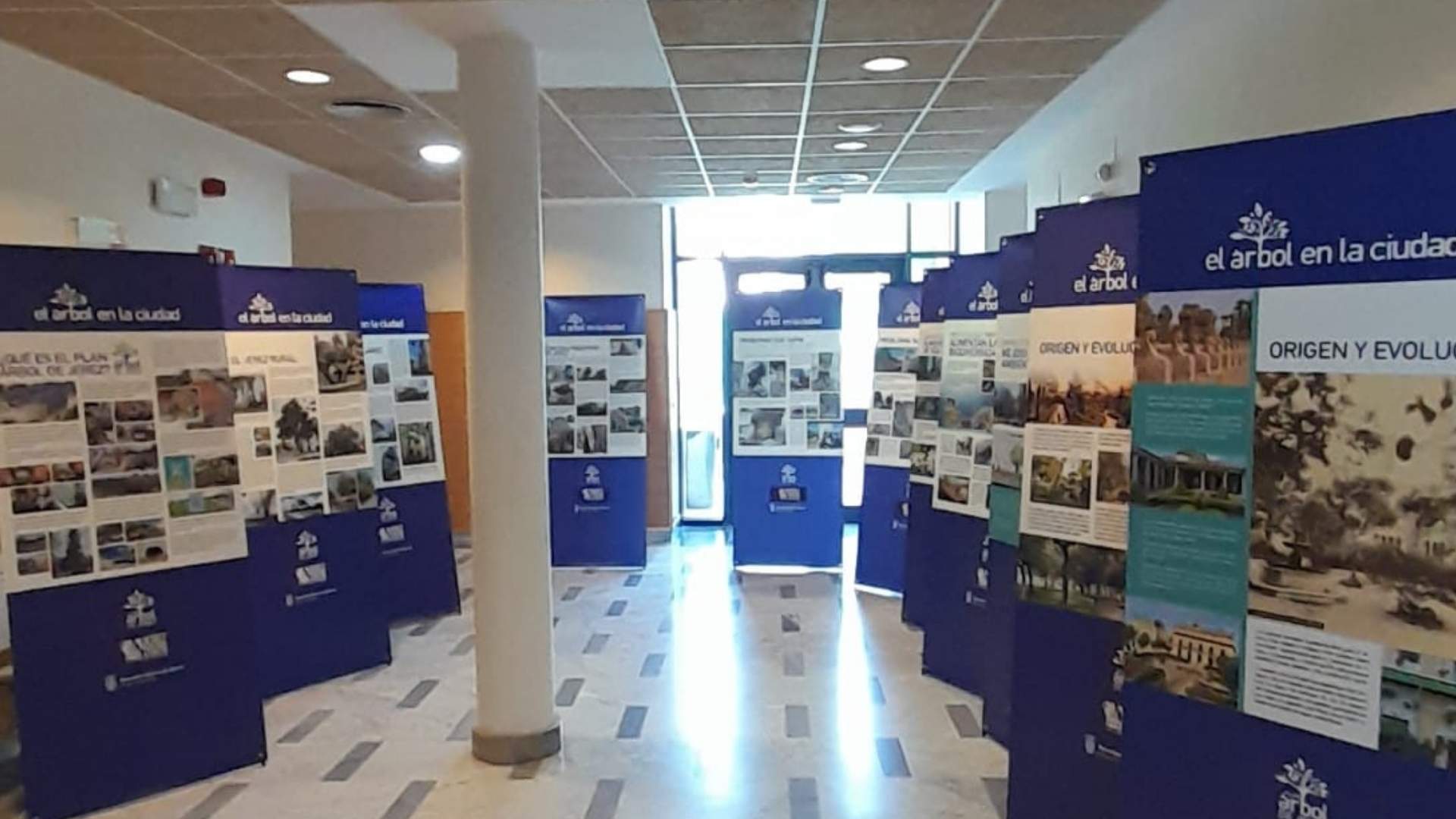 Paneles informativos de la exposición itinerante "El árbol en la ciudad" instalados en el interior del Centro Social La Granja en Jerez.