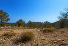 Paisaje forestal seco en Andalucía con riesgo extremo de incendios durante el verano.